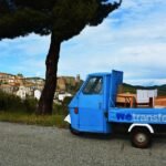 13118861 1036102193148091 4595881893272712427 n