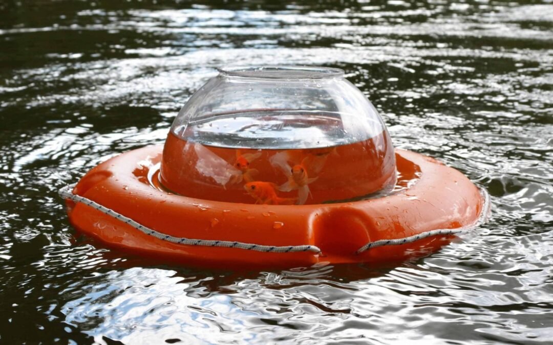 Inaugura “Disturbe”, la personale di Biancoshock alla Wunderkammern di Milano