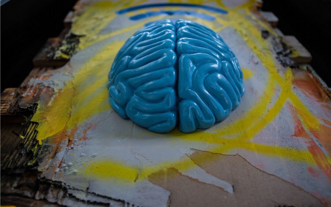 A Varese apre la mostra URBANBRAIN di Urbansolid