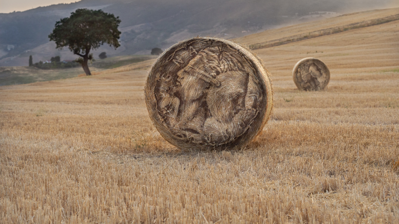 Chiude AppARTEngo Festival 2021: una call e tanti nuovi progetti per portare il format in tutta l’Italia