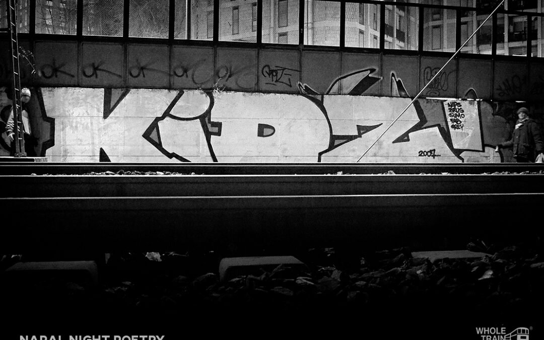 Night Poetry: 20 anni di vita notturna fotografati da Napal